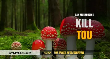 Deadly Fungi: The Lethal Truth About Certain Mushrooms