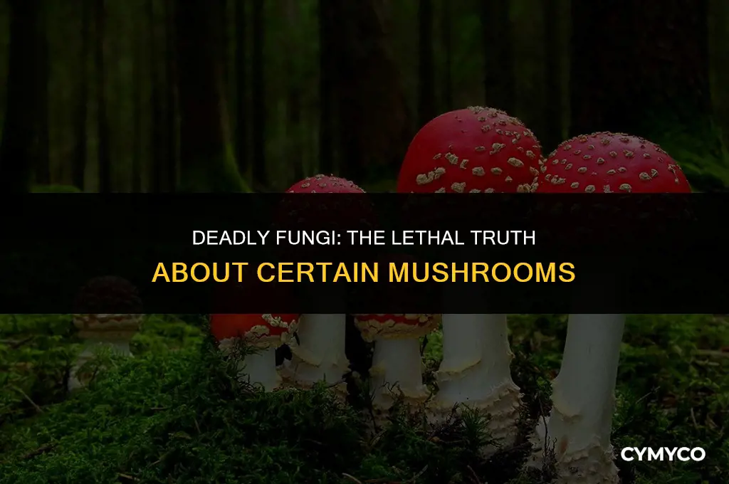 can mushrooms kill tou