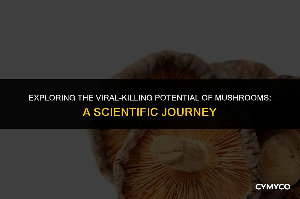 can mushrooms kill viruses