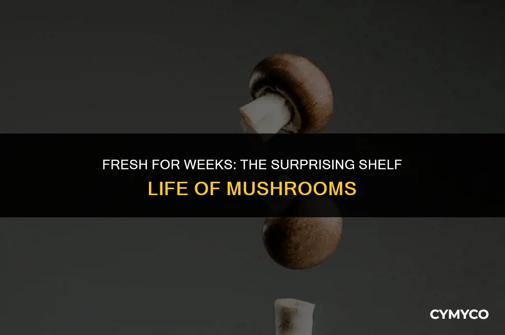 can mushrooms last 2 weeks in the fridge