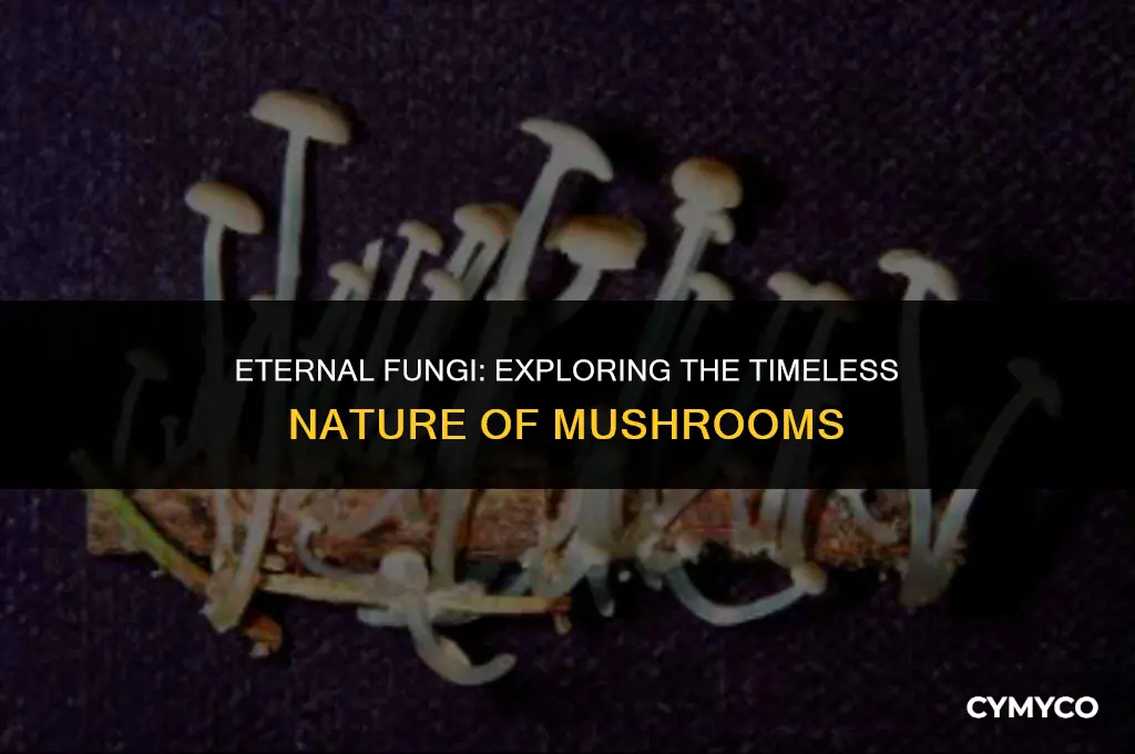 can mushrooms live forever