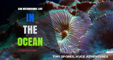 Exploring the Depths: Can Mushrooms Thrive in the Ocean?