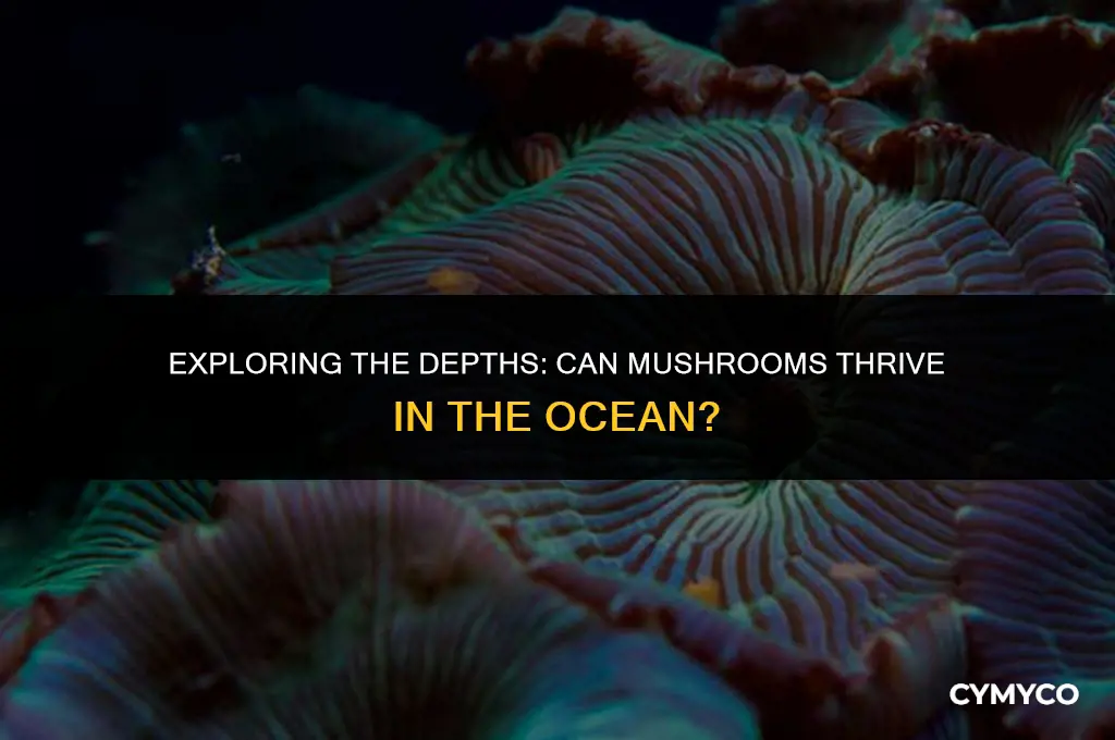can mushrooms live in the ocean