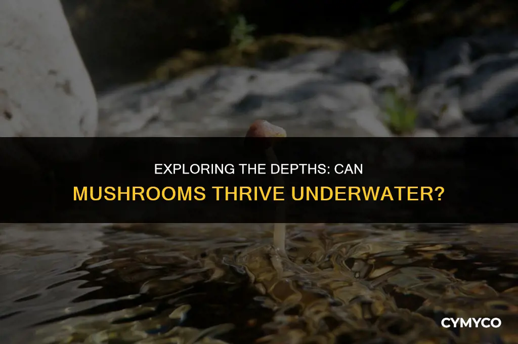 can mushrooms live underwater