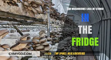 Freshness Preserved: Storing Mushroom Logs in the Fridge