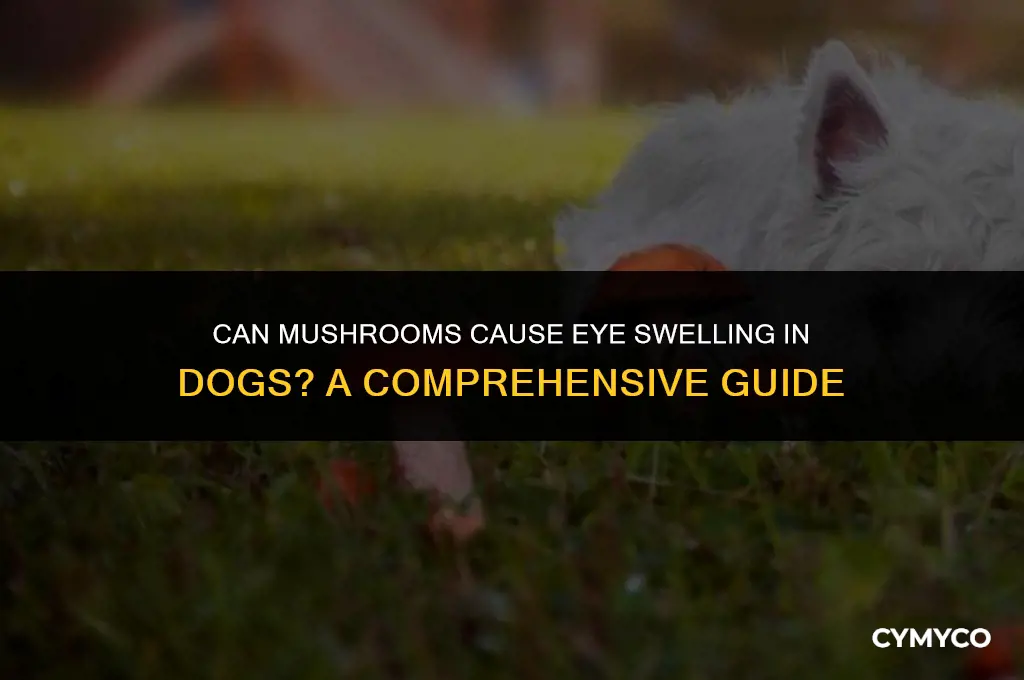 can mushrooms make dogs eyes swollen