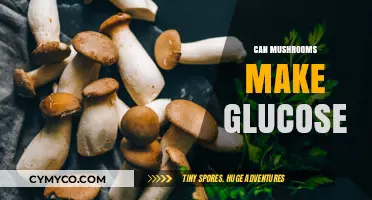 Unlocking Nature's Sweet Secret: Mushrooms' Glucose Production Potential