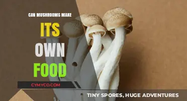 The Autonomy of Fungi: Can Mushrooms Produce Their Own Food?