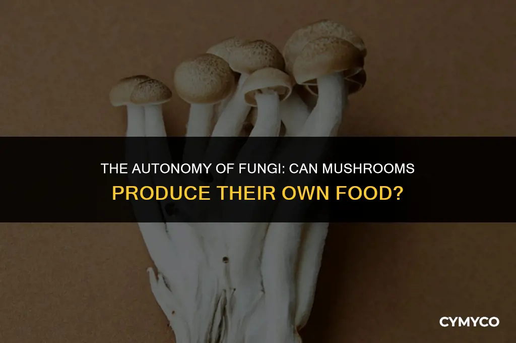 can mushrooms make its own food