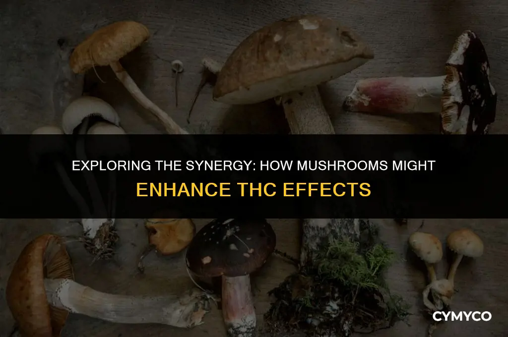 can mushrooms make thc better