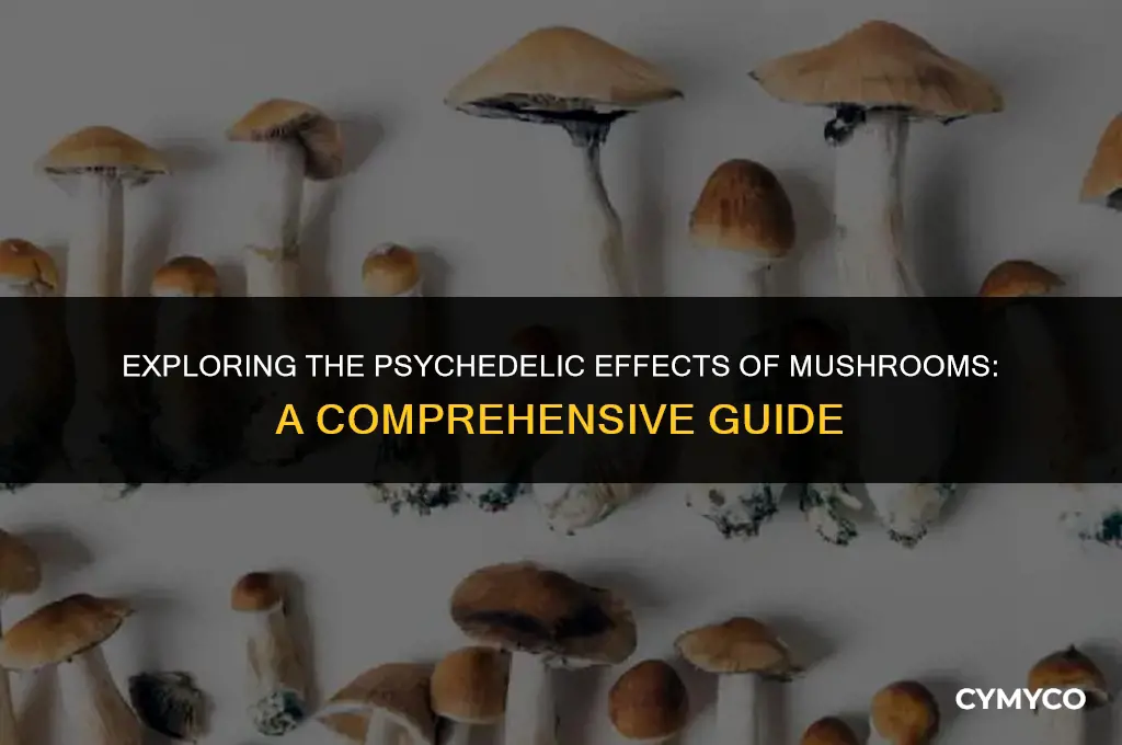 can mushrooms make u high