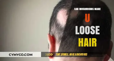 Exploring the Truth: Do Mushrooms Cause Hair Loss?