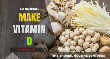 Sunlight in a Bite: Mushrooms' Surprising Vitamin D Boost