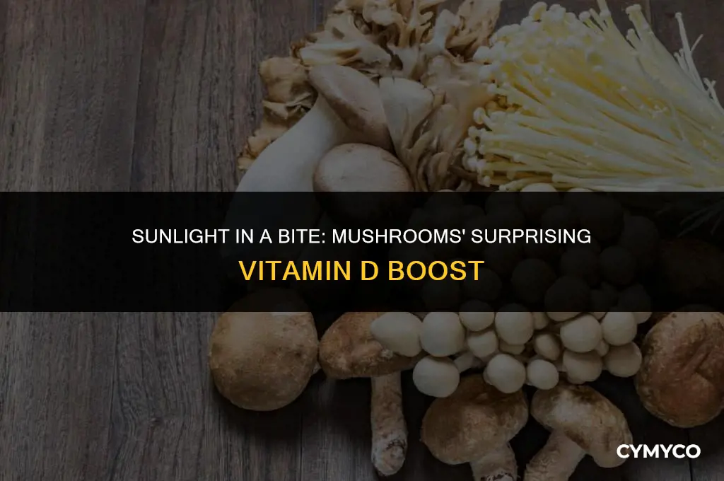can mushrooms make vitamin d