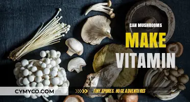 Unlocking Nature's Secrets: Mushrooms as a Potential Vitamin Source