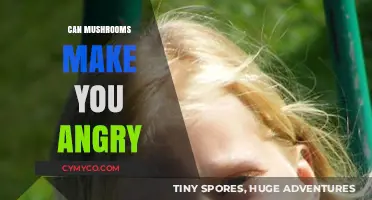 Exploring the Emotional Effects of Mushrooms: Anger and Beyond