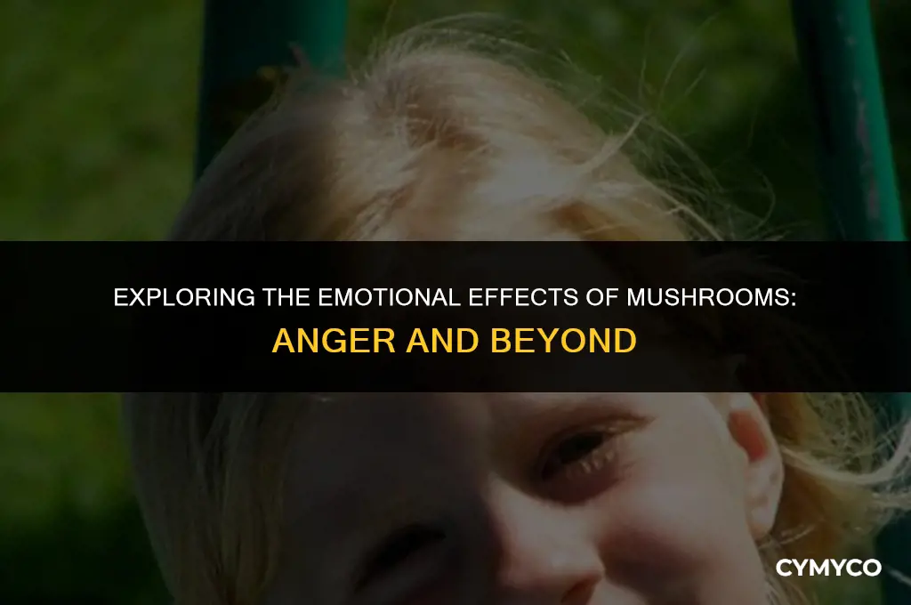 can mushrooms make you angry
