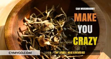 Exploring the Psychedelic Realm: Do Mushrooms Induce Madness?