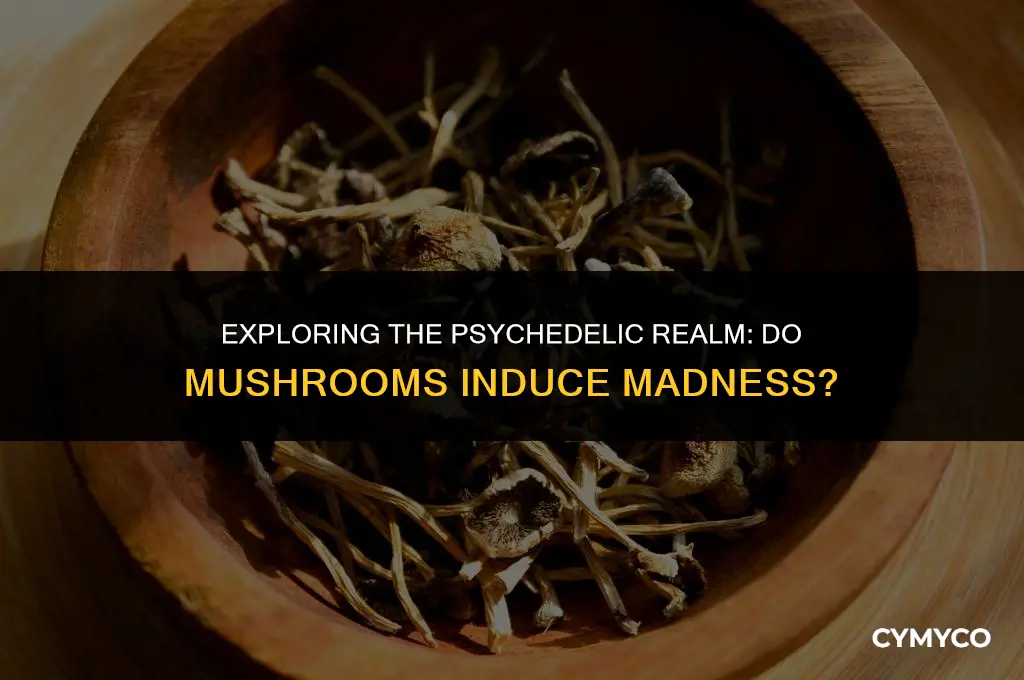 can mushrooms make you crazy