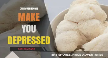 Exploring the Link: Can Mushrooms Influence Your Mood?