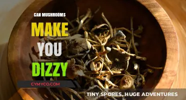 Exploring the Dizzying Effects of Mushrooms: A Comprehensive Guide