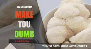 Exploring the Myth: Do Mushrooms Really Affect Your Cognitive Abilities?