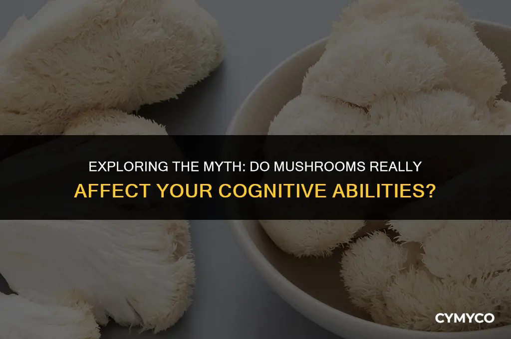 can mushrooms make you dumb