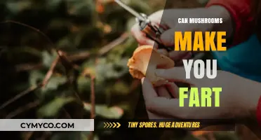 Exploring the Surprising Connection Between Mushrooms and Flatulence