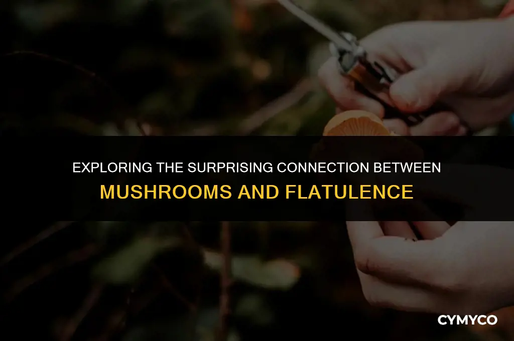 can mushrooms make you fart