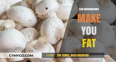 Exploring the Surprising Truth: Mushrooms and Weight Gain Myths Debunked