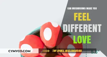 Exploring the Emotional Depths: Mushrooms and the Love Connection