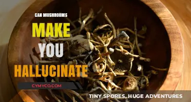 Exploring the Hallucinogenic Effects of Mushrooms: A Comprehensive Guide