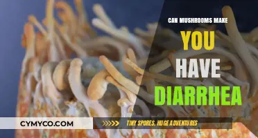 Exploring the Link: Mushrooms and Digestive Health Concerns