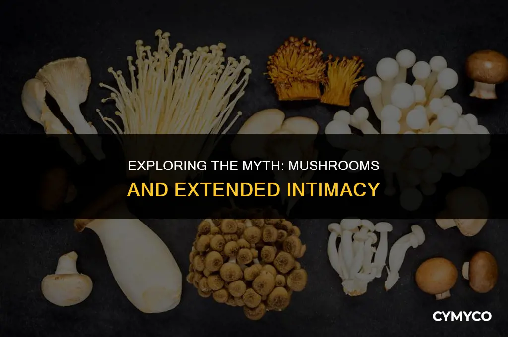 can mushrooms make you have sex for hours