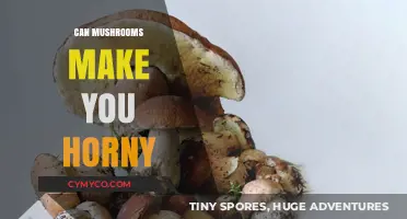 Exploring the Aphrodisiac Potential of Mushrooms: Fact or Fiction?