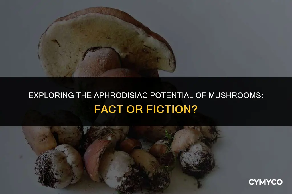 can mushrooms make you horny