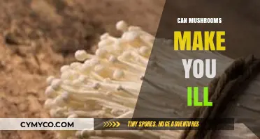 Exploring the Risks: Can Mushrooms Make You Ill?
