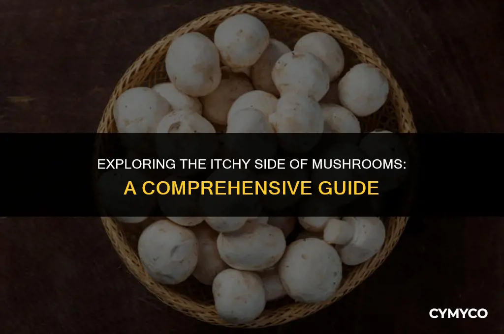 can mushrooms make you itchy