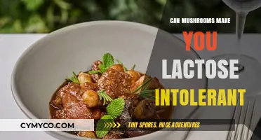 Exploring the Link: Mushrooms and Lactose Intolerance