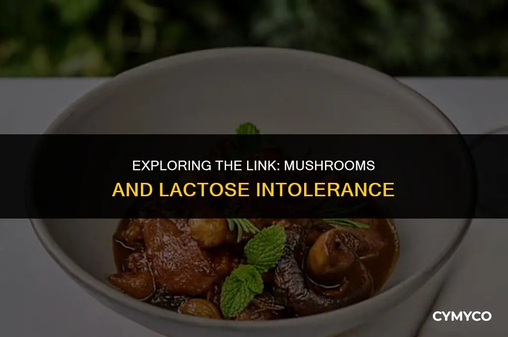 can mushrooms make you lactose intolerant