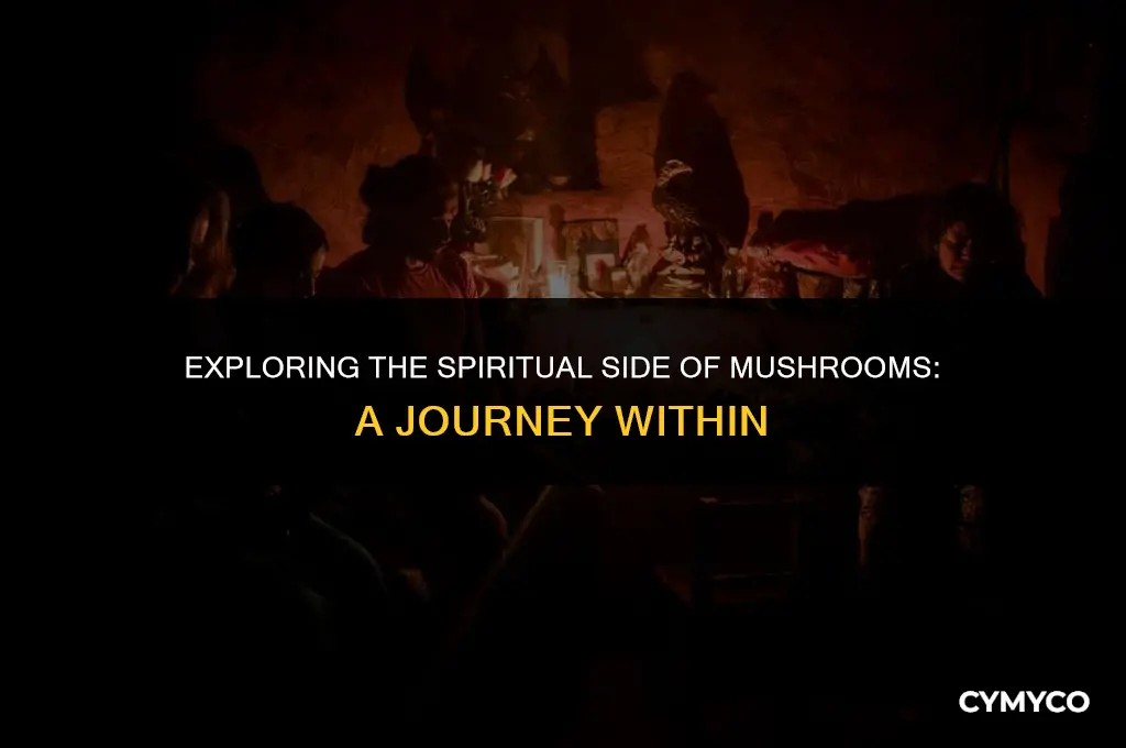 can mushrooms make you more spiritual
