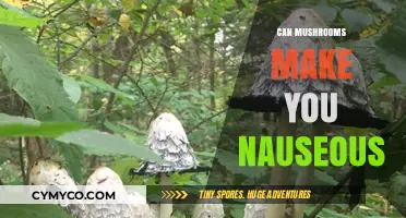 Exploring the Nausea-Inducing Potential of Mushrooms: A Comprehensive Guide