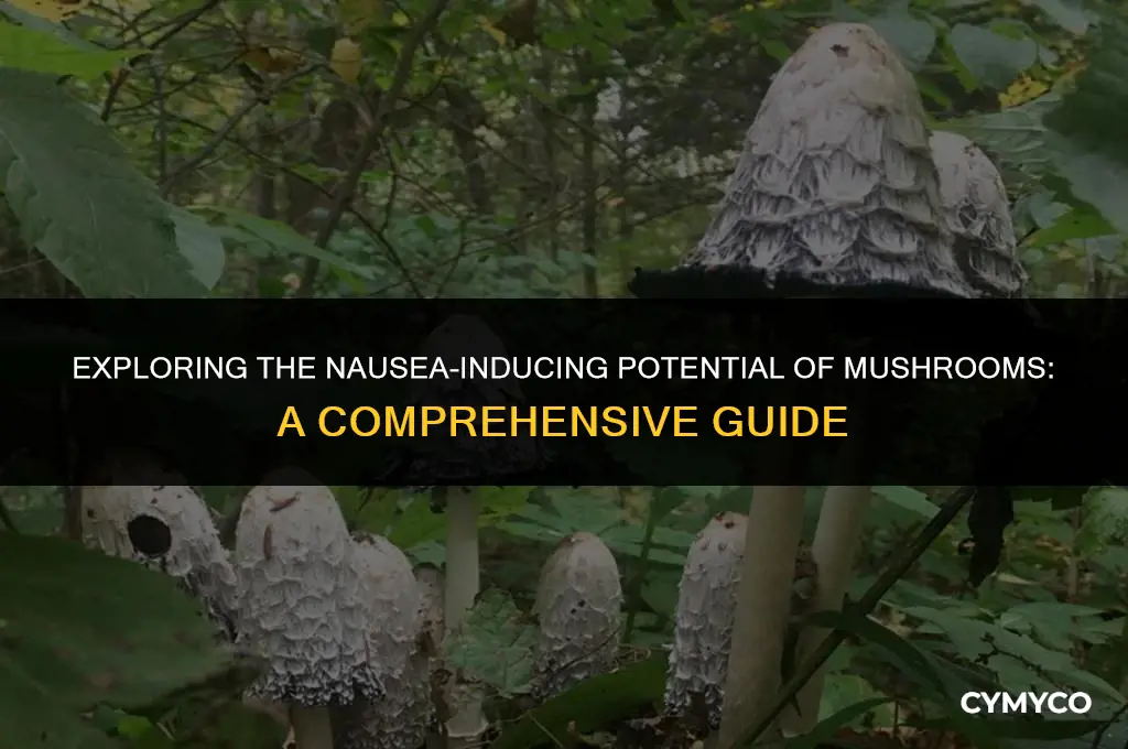 can mushrooms make you nauseous