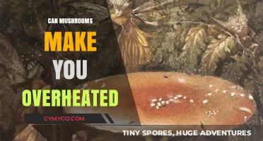 Exploring the Myth: Do Mushrooms Really Cause Overheating?