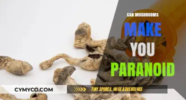 Exploring the Link: Mushrooms and Paranoia Uncovered