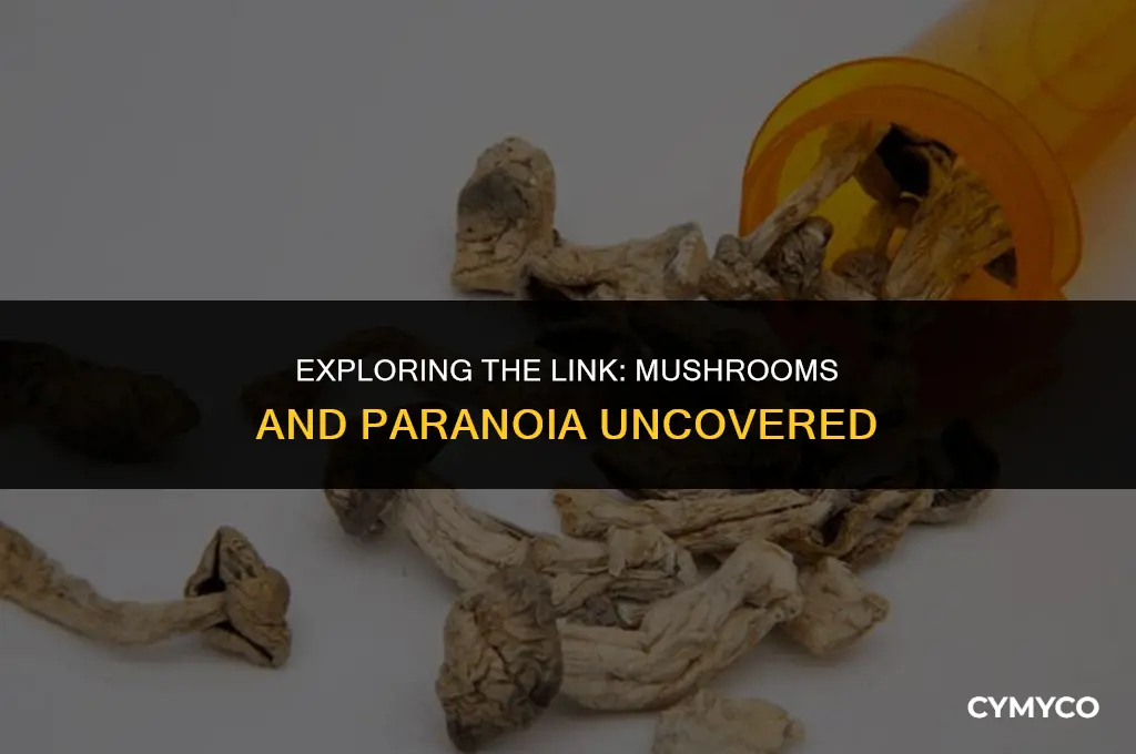can mushrooms make you paranoid