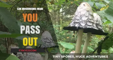 Exploring the Effects: Can Mushrooms Really Make You Pass Out?