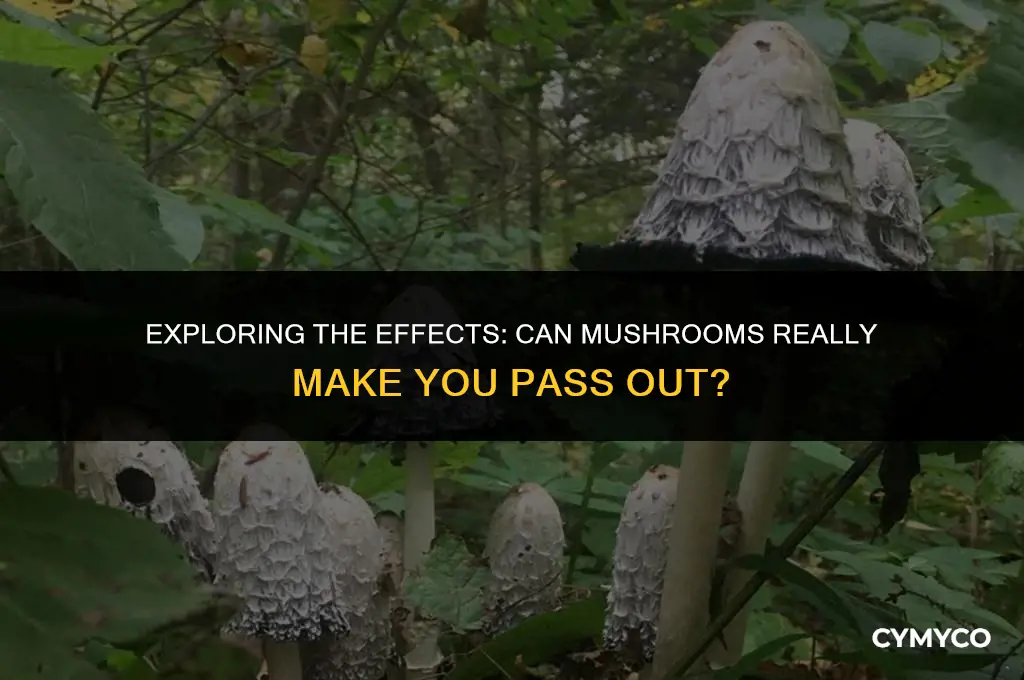 can mushrooms make you pass out
