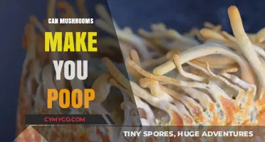 Exploring the Surprising Digestive Effects of Mushrooms