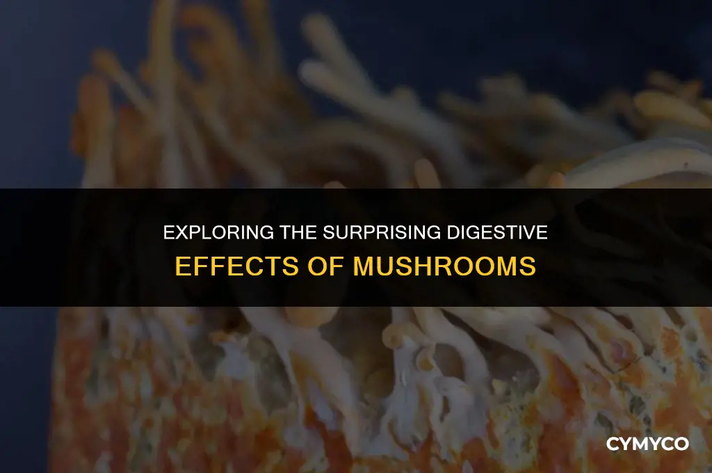 can mushrooms make you poop